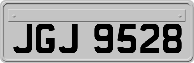 JGJ9528