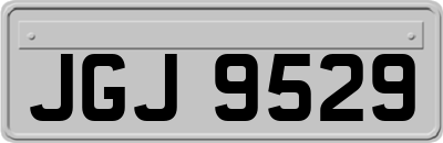 JGJ9529