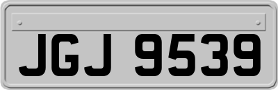 JGJ9539