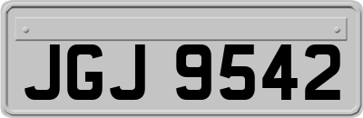 JGJ9542