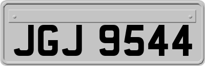 JGJ9544