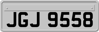 JGJ9558