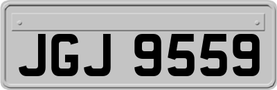 JGJ9559