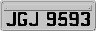 JGJ9593