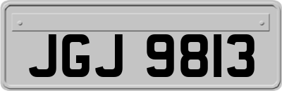 JGJ9813
