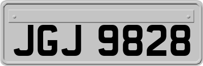 JGJ9828