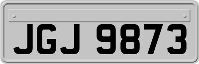 JGJ9873