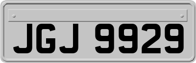 JGJ9929