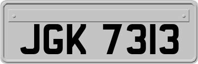 JGK7313