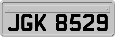 JGK8529
