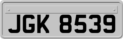 JGK8539