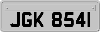 JGK8541