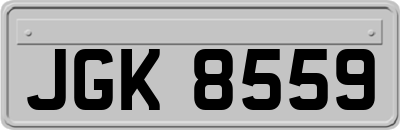 JGK8559