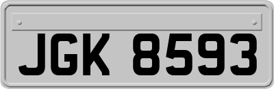 JGK8593