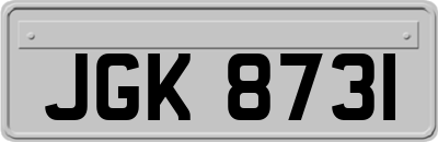 JGK8731