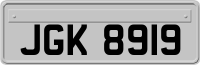 JGK8919