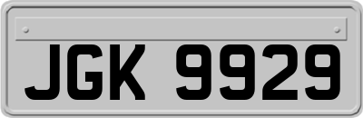 JGK9929