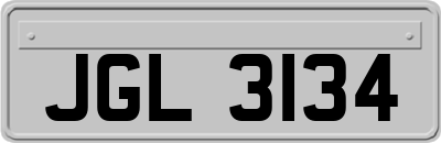 JGL3134