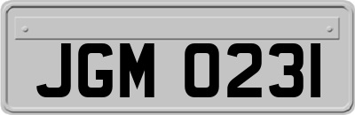 JGM0231