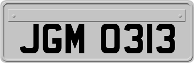 JGM0313