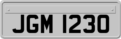 JGM1230