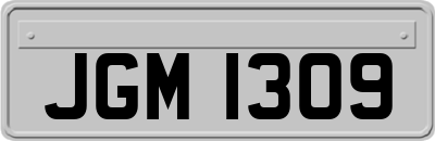 JGM1309