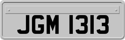 JGM1313