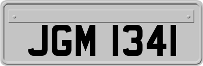 JGM1341