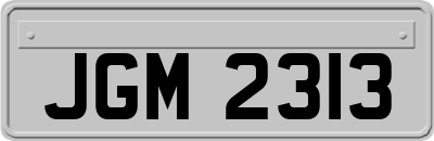 JGM2313