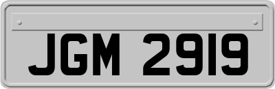 JGM2919