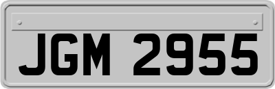 JGM2955
