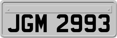 JGM2993