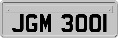 JGM3001