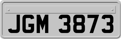 JGM3873
