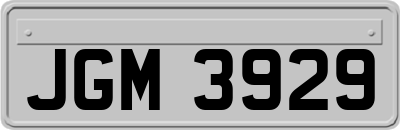 JGM3929