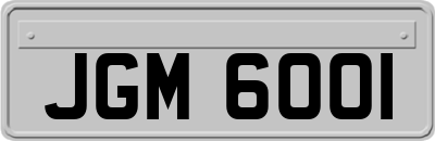 JGM6001