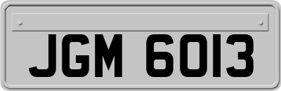 JGM6013