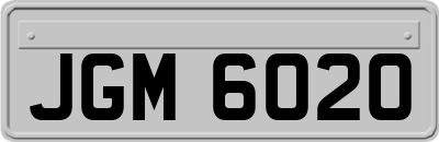 JGM6020