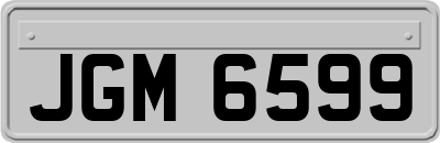 JGM6599