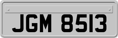 JGM8513
