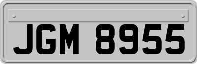 JGM8955