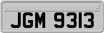 JGM9313