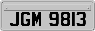 JGM9813