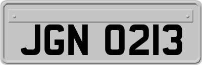 JGN0213