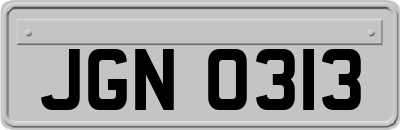 JGN0313