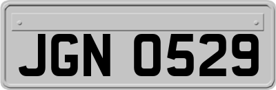 JGN0529