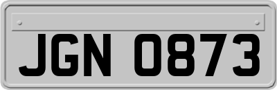 JGN0873