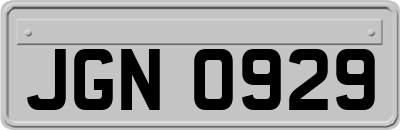 JGN0929
