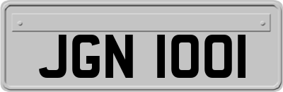 JGN1001