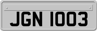JGN1003